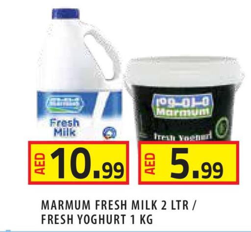 MARMUM Fresh Milk  in Baniyas Spike  in UAE - Ras al Khaimah