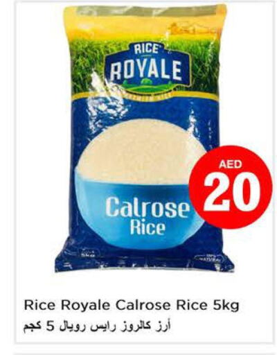  Egyptian / Calrose Rice  in نستو هايبرماركت in الإمارات العربية المتحدة , الامارات - دبي