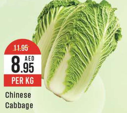  Cabbage  in ويست زون سوبرماركت in الإمارات العربية المتحدة , الامارات - دبي