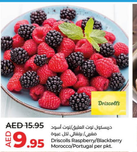  Berries  in لولو هايبرماركت in الإمارات العربية المتحدة , الامارات - أم القيوين‎