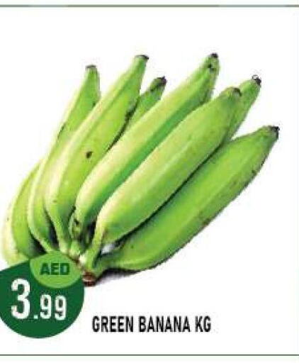  Banana Green  in أزهر المدينة هايبرماركت in الإمارات العربية المتحدة , الامارات - أبو ظبي