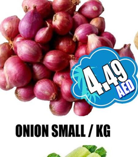  Onion  in GRAND MAJESTIC HYPERMARKET in UAE - Abu Dhabi