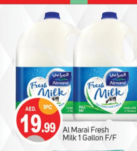 ALMARAI Fresh Milk  in TALAL MARKET in UAE - Sharjah / Ajman