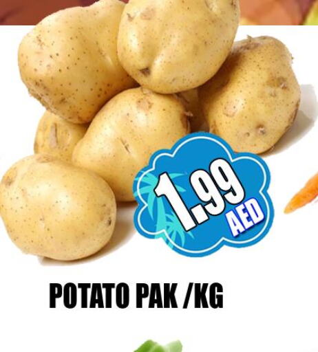  Potato  in GRAND MAJESTIC HYPERMARKET in الإمارات العربية المتحدة , الامارات - أبو ظبي