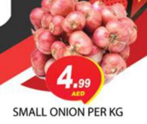  Onion  in زين مارت سوبرماركت in الإمارات العربية المتحدة , الامارات - رَأْس ٱلْخَيْمَة
