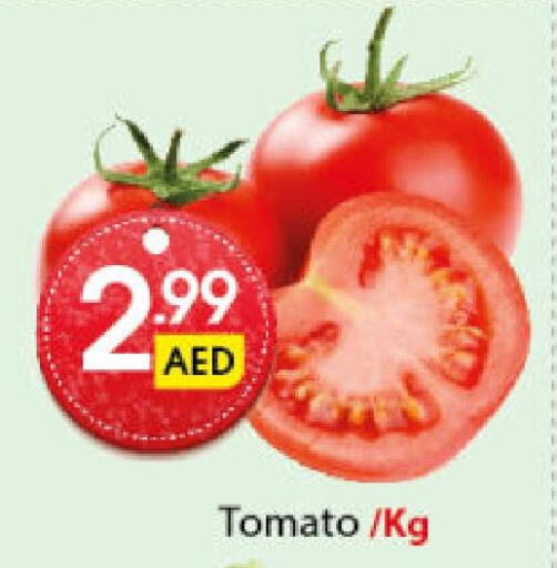  Tomato  in Al Ain Market in UAE - Sharjah / Ajman