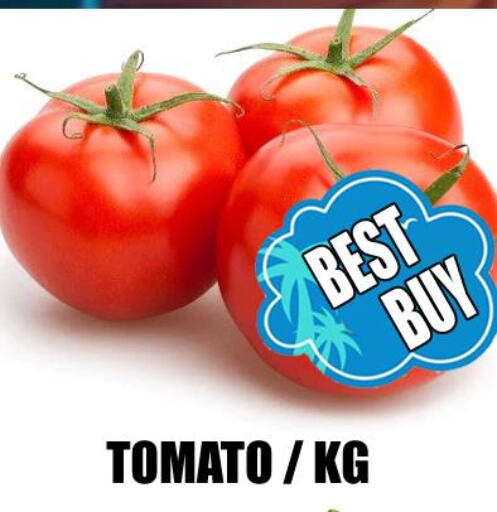  Tomato  in GRAND MAJESTIC HYPERMARKET in UAE - Abu Dhabi