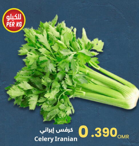  Celery  in مركز سلطان in عُمان - مسقط‎