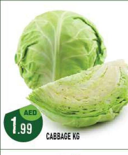  Cabbage  in أزهر المدينة هايبرماركت in الإمارات العربية المتحدة , الامارات - أبو ظبي