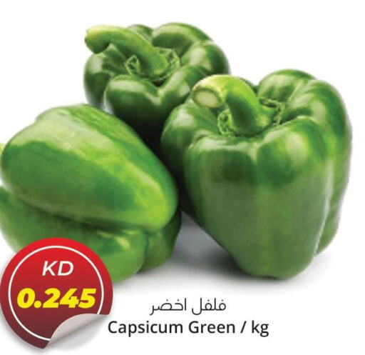  Chilli / Capsicum  in 4 SaveMart in Kuwait - Kuwait City