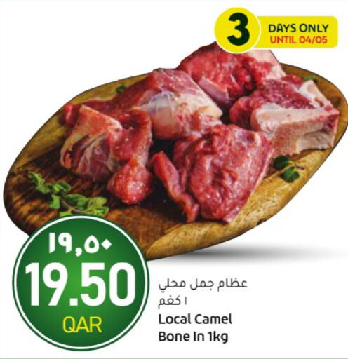  Camel meat  in Gulf Food Center in Qatar - Al Shamal