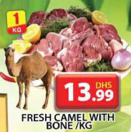  Camel meat  in Grand Hyper Market in UAE - Sharjah / Ajman