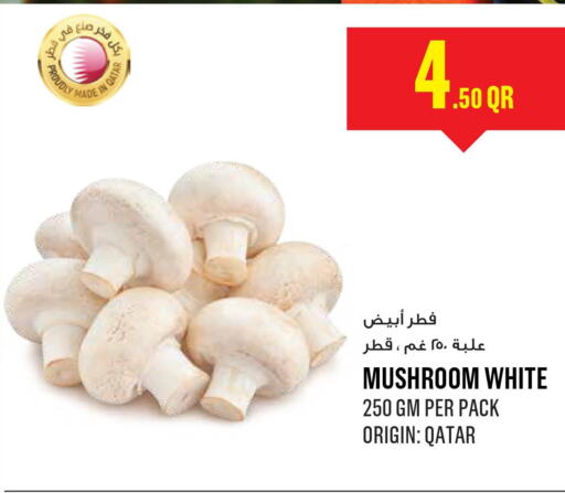  Mushroom  in مونوبريكس in قطر - الشمال