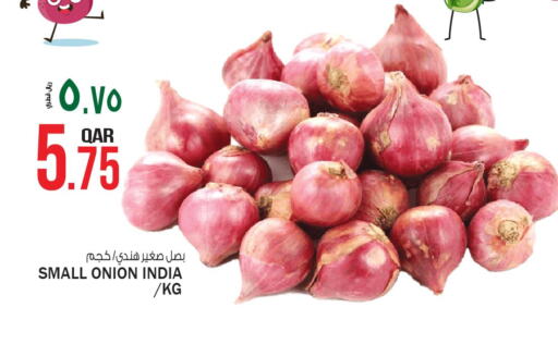  Onion  in السعودية in قطر - الشحانية