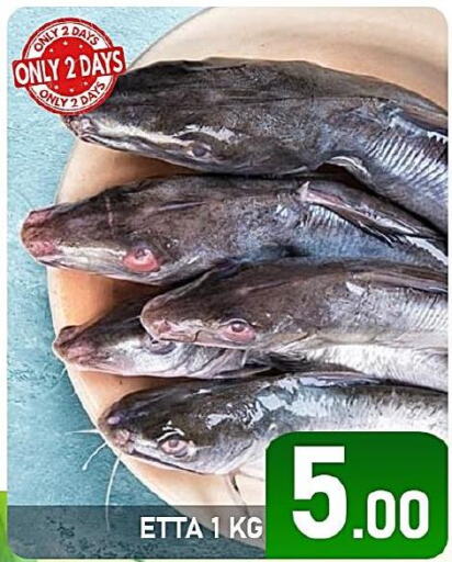 King Fish  in Passion Hypermarket in Qatar - Doha