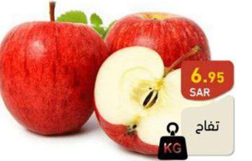  Apples  in أسواق رامز in مملكة العربية السعودية, السعودية, سعودية - تبوك
