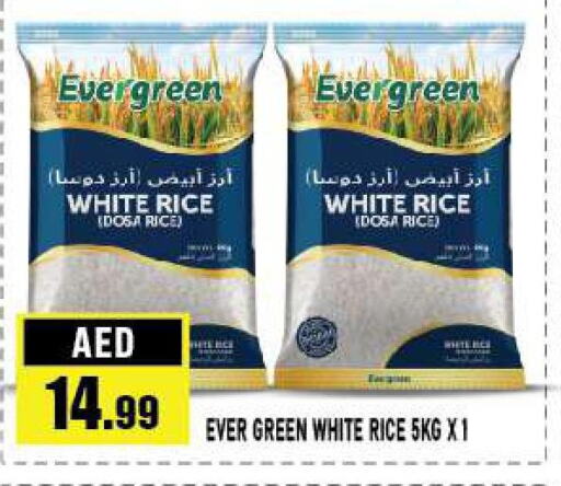  White Rice  in أزهر المدينة هايبرماركت in الإمارات العربية المتحدة , الامارات - أبو ظبي