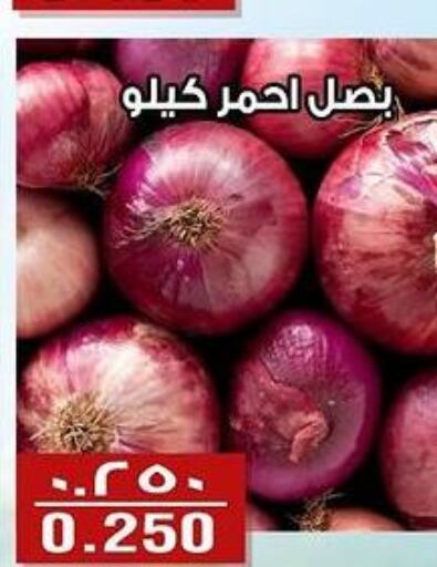  Onion  in Al Fintass Cooperative Society  in Kuwait - Kuwait City