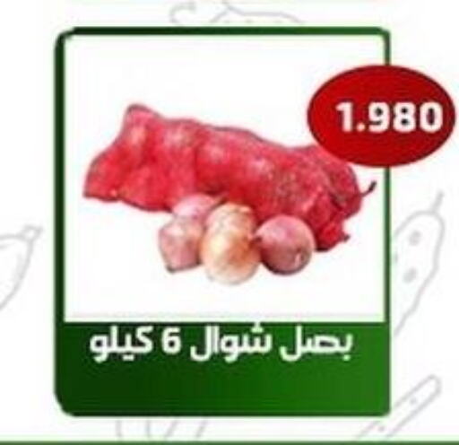  Onion  in Al Fahaheel Co - Op Society in Kuwait - Kuwait City