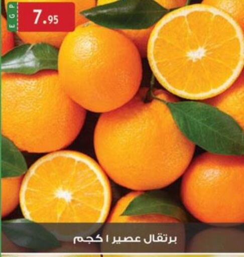  Orange  in الرايه  ماركت in Egypt - القاهرة
