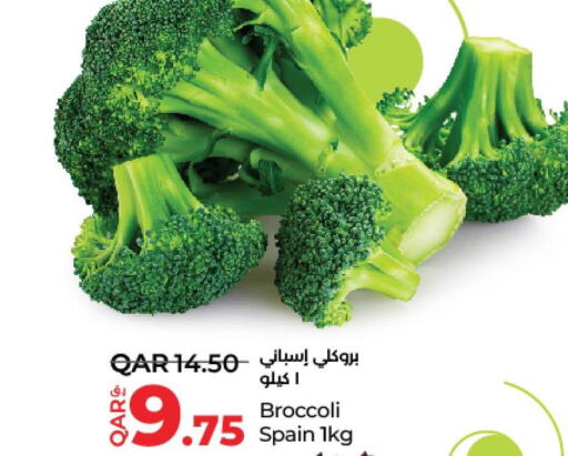  Broccoli  in لولو هايبرماركت in قطر - الوكرة