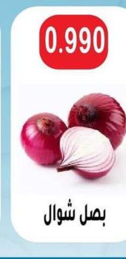  Onion  in Sulaibkhat & Doha Coop in Kuwait