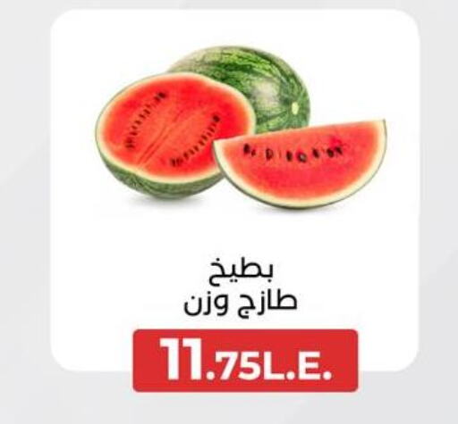  Watermelon  in Arafa Market in Egypt - Cairo