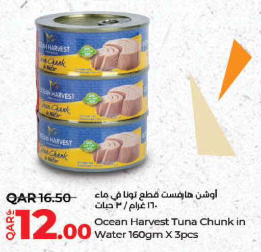  Tuna - Canned  in LuLu Hypermarket in Qatar - Al Wakra