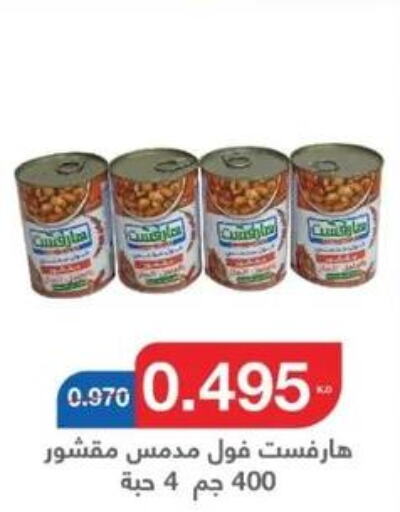 CALIFORNIA GARDEN Fava Beans  in جمعية اليرموك التعاونية in الكويت - مدينة الكويت