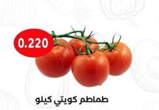  Tomato  in جمعية مدينة صباح الأحمد التعاونية in الكويت - محافظة الأحمدي