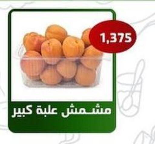  Apples  in جمعية فحيحيل التعاونية in الكويت - محافظة الأحمدي