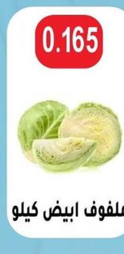  Cabbage  in Sulaibkhat & Doha Coop in Kuwait