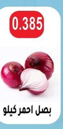  Onion  in Sulaibkhat & Doha Coop in Kuwait