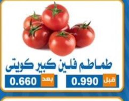  Tomato  in جمعية ضاحية الشهداء التعاونية in الكويت - محافظة الأحمدي