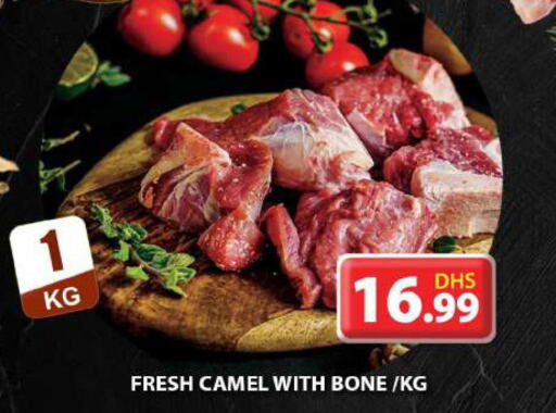  Camel meat  in جراند هايبر ماركت in الإمارات العربية المتحدة , الامارات - الشارقة / عجمان