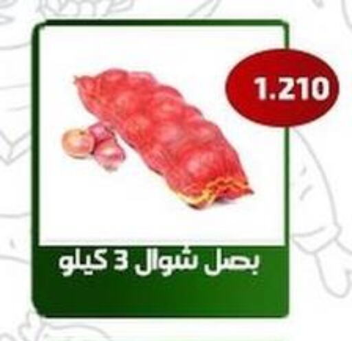  Onion  in جمعية فحيحيل التعاونية in الكويت - محافظة الأحمدي