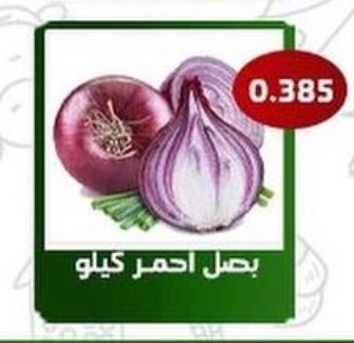  Onion  in Al Fahaheel Co - Op Society in Kuwait - Jahra Governorate