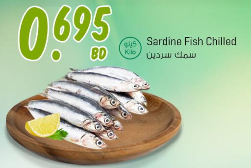  King Fish  in The Sultan Center in Bahrain