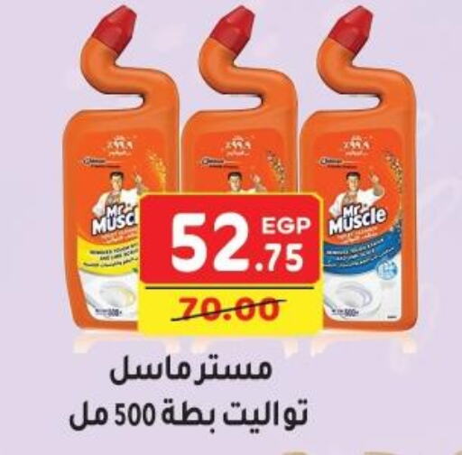 MR. MUSCLE   in Bashayer hypermarket in Egypt - Cairo