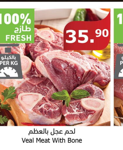  Veal  in Al Raya in KSA, Saudi Arabia, Saudi - Tabuk