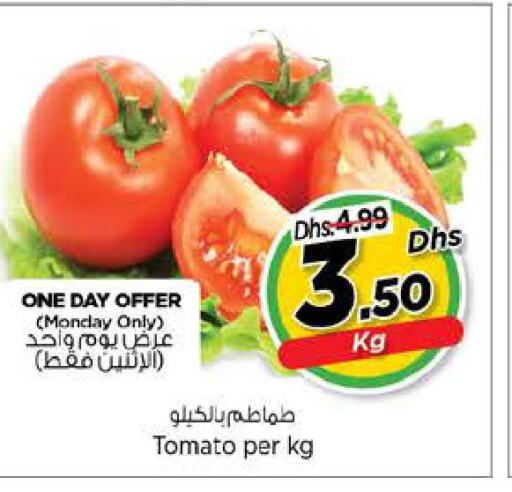  Tomato  in Last Chance  in UAE - Fujairah
