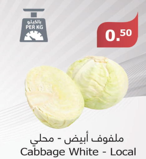  Cabbage  in Al Raya in KSA, Saudi Arabia, Saudi - Ta'if