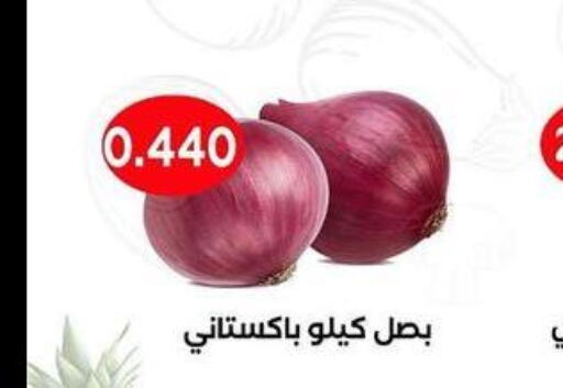  Onion  in Sabah Al-Ahmad Cooperative Society in Kuwait - Kuwait City