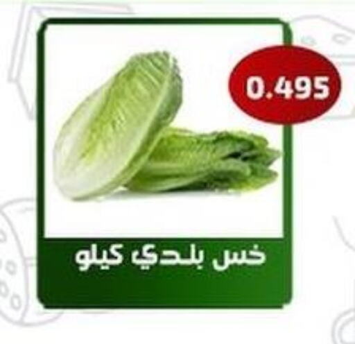  Garlic  in جمعية فحيحيل التعاونية in الكويت - محافظة الأحمدي