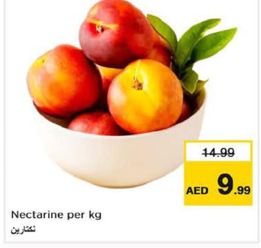  Dragon fruits  in لاست تشانس in الإمارات العربية المتحدة , الامارات - ٱلْفُجَيْرَة‎