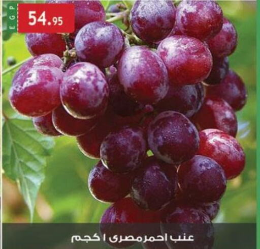  Grapes  in الرايه  ماركت in Egypt - القاهرة