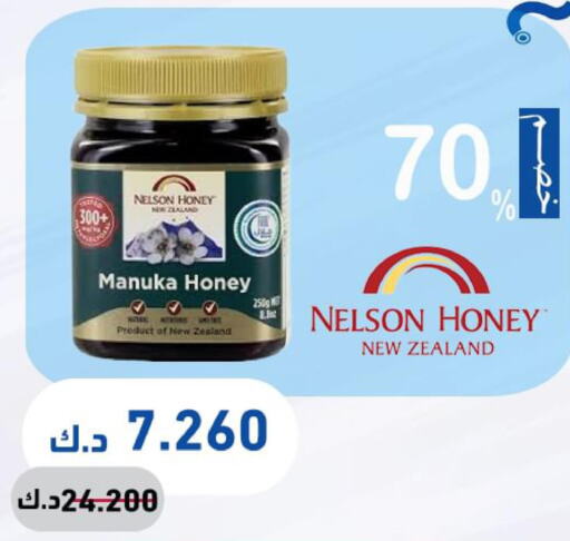  Honey  in Al Khaldiya Society  in Kuwait - Kuwait City