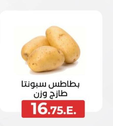  Potato  in Arafa Market in Egypt - Cairo