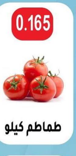  Tomato  in Sulaibkhat & Doha Coop in Kuwait