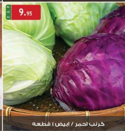  Cabbage  in الرايه  ماركت in Egypt - القاهرة
